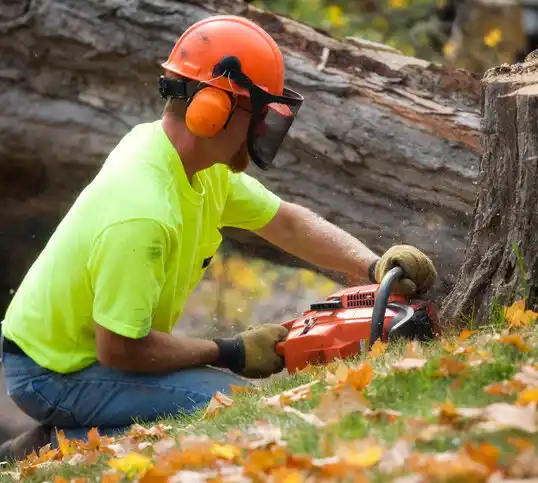 tree services Mount Victory